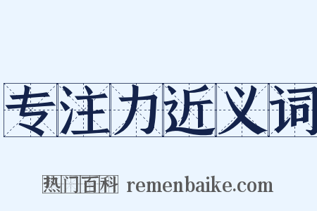 专注力近义词是什么意思的图片